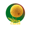 CADAM Logo